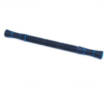 PMI-1009