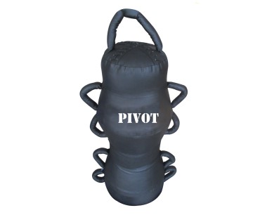 PV-PB1701